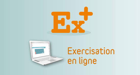 Exercisation en ligne